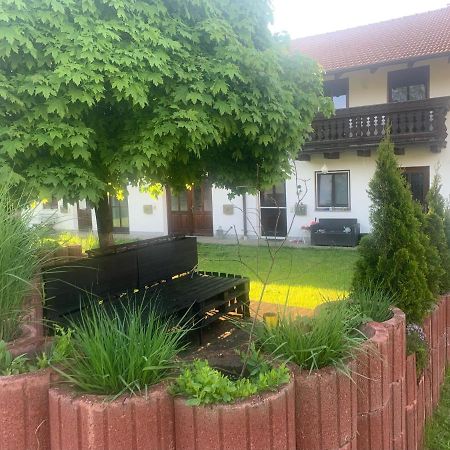 Ferienwohnung Am Ponyhof 阿尔多廷 外观 照片