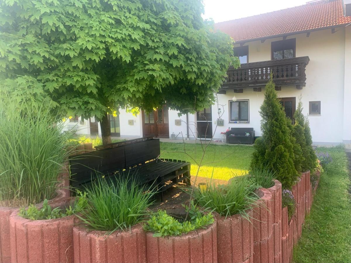 Ferienwohnung Am Ponyhof 阿尔多廷 外观 照片