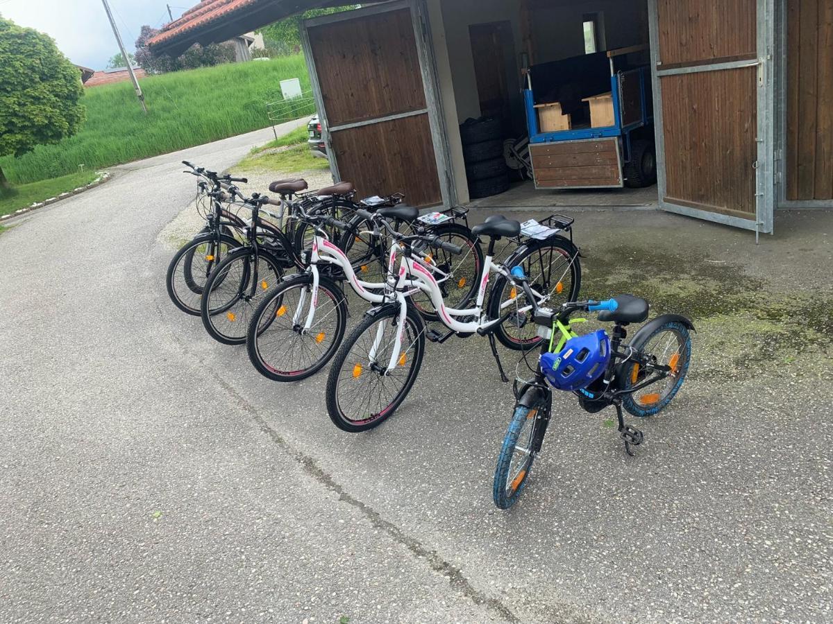 Ferienwohnung Am Ponyhof 阿尔多廷 外观 照片